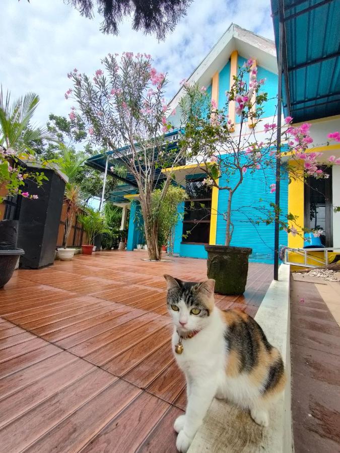 Omah Mendut Homestay 바뉴왕기 외부 사진